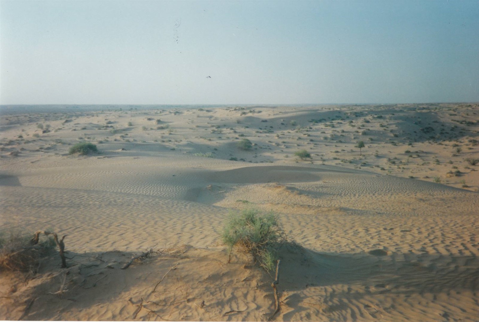 Foto di viaggio in EMIRATI ARABI UNITI