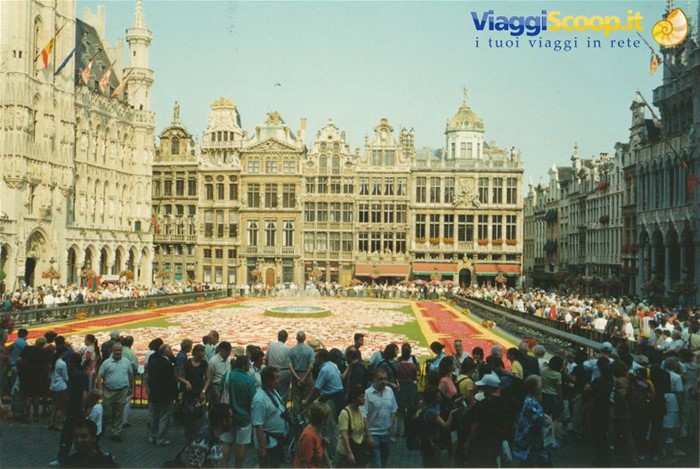 Bruxelles, grand place fiorita
