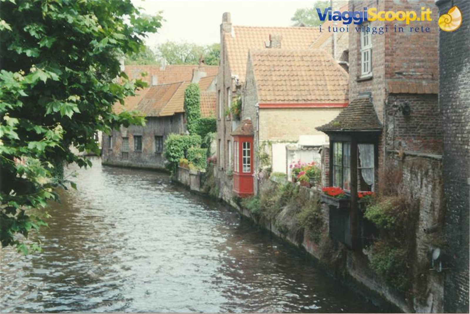 Foto di viaggio in BELGIO