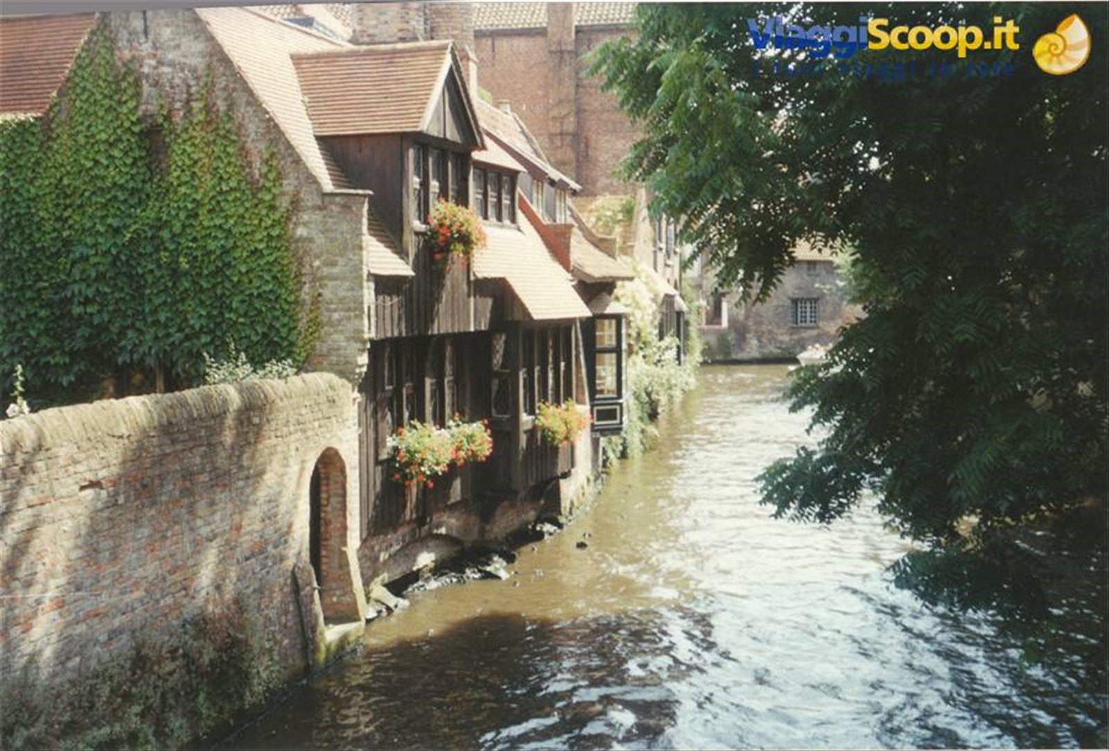 Foto di viaggio in BELGIO
