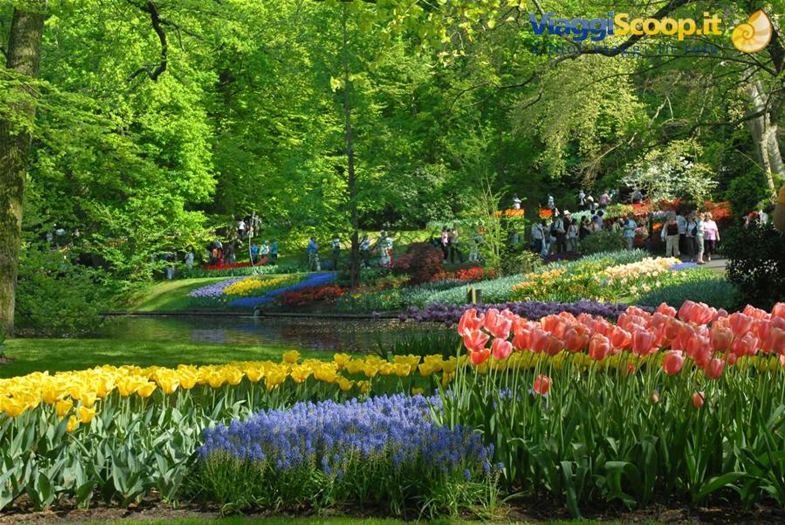 i meravigliosi giardini di Keukenhof