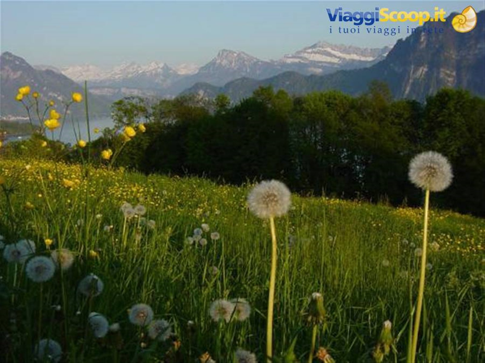 Foto di viaggio in SVIZZERA