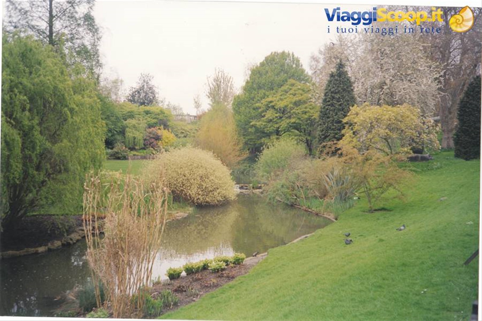 i meravigliosi giardini all' inglese