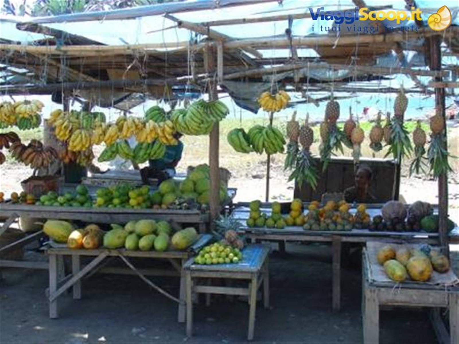 Foto di viaggio in TIMOR EAST