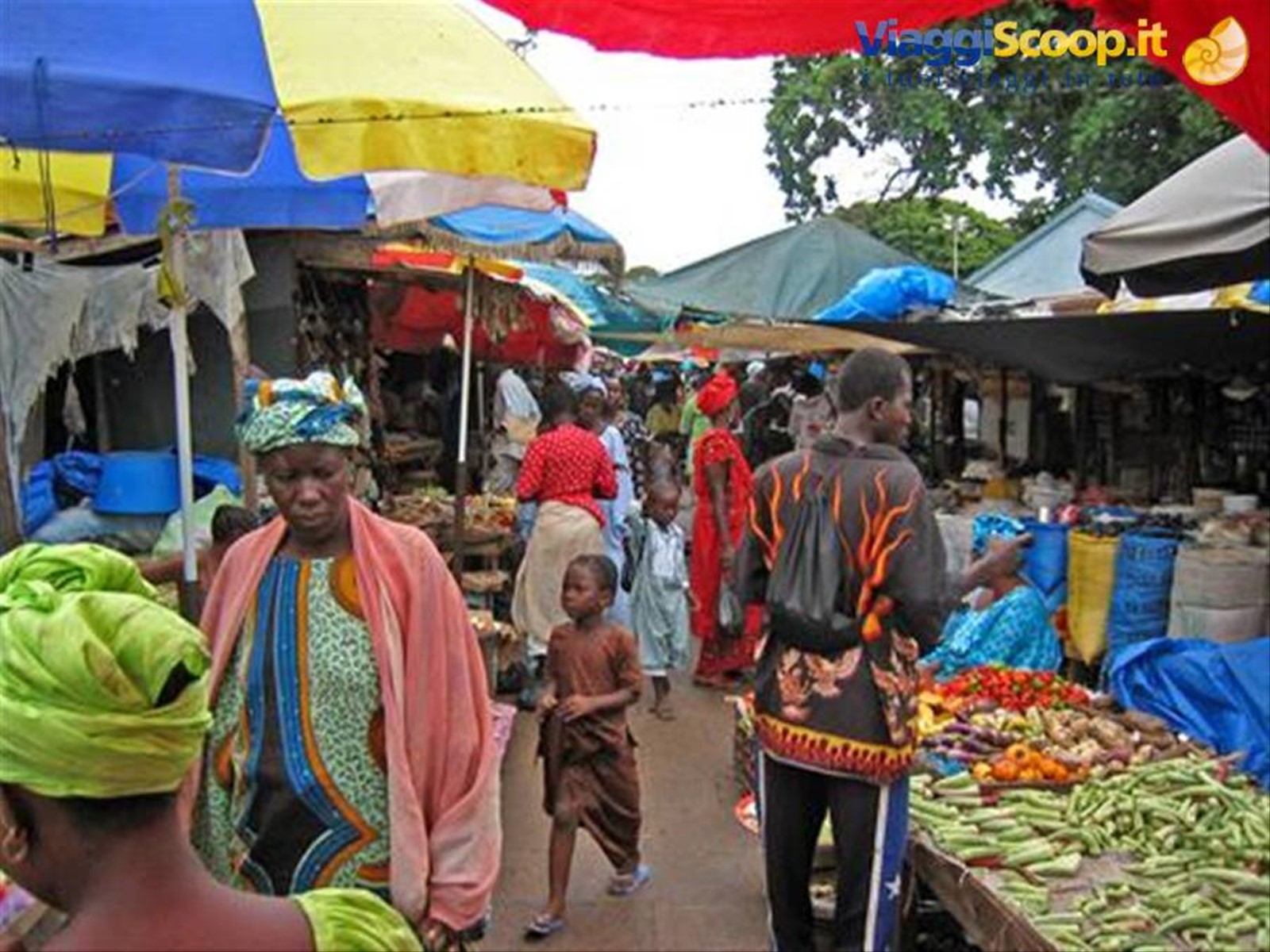 Foto di viaggio in GAMBIA