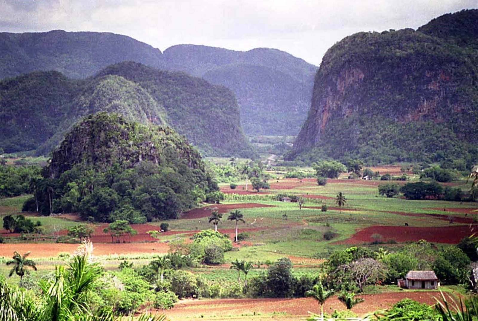 la valle di Vinales