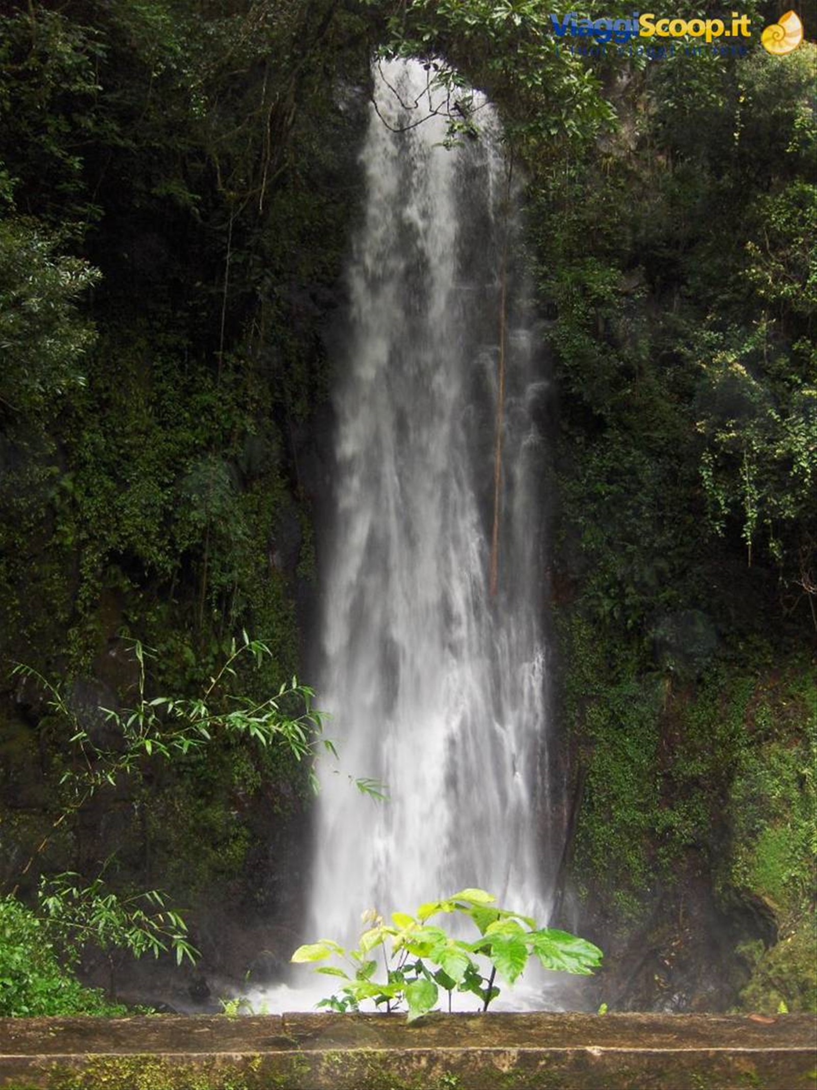 Foto di viaggio in SAO TOME AND PRINCIPE