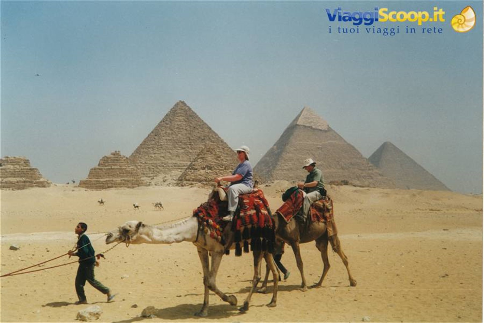 cammellata nel deserto di Giza