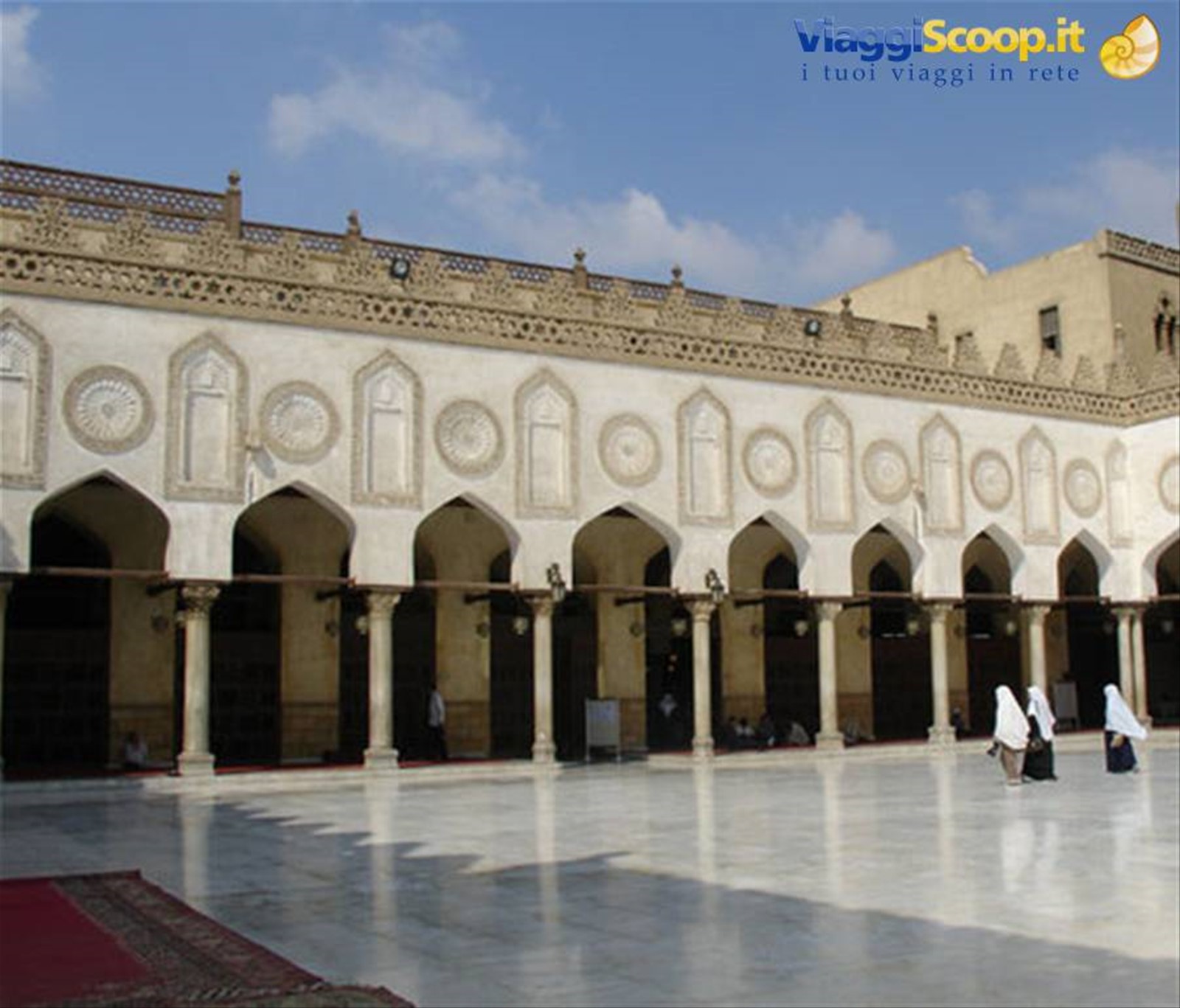 università del Cairo