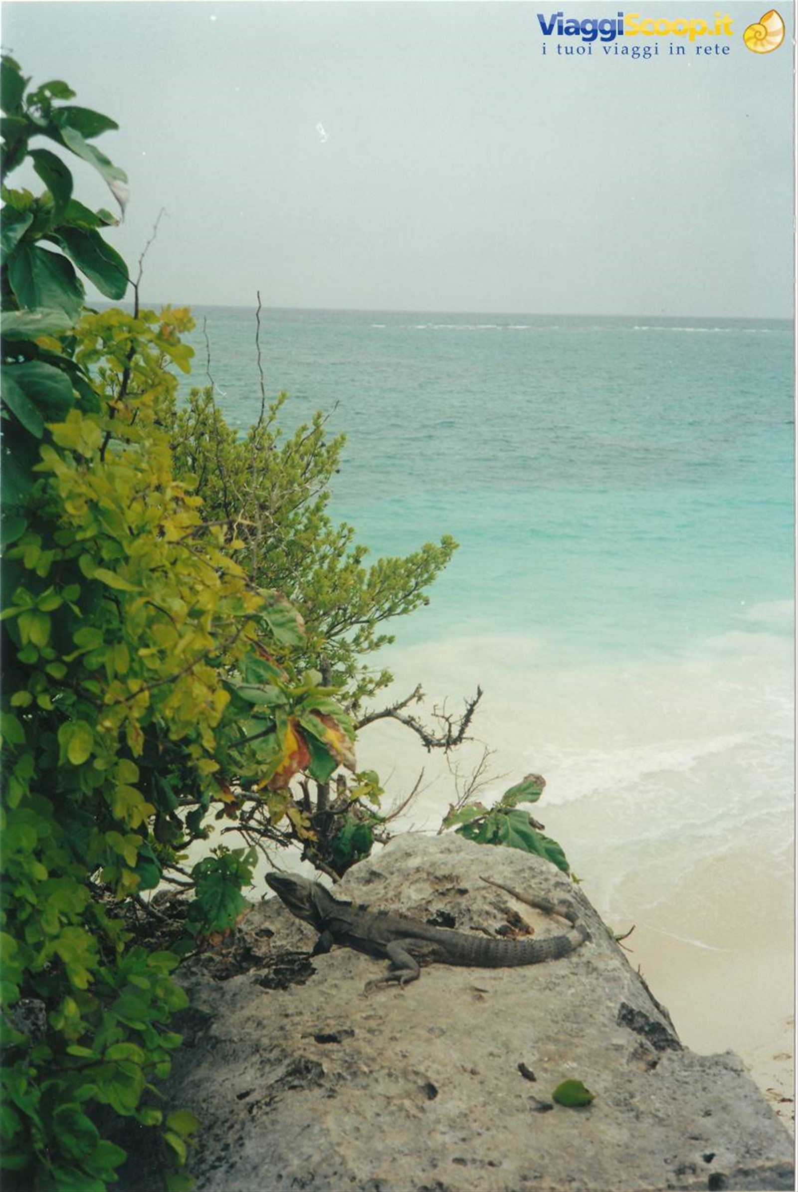 il guardiano di Tulum