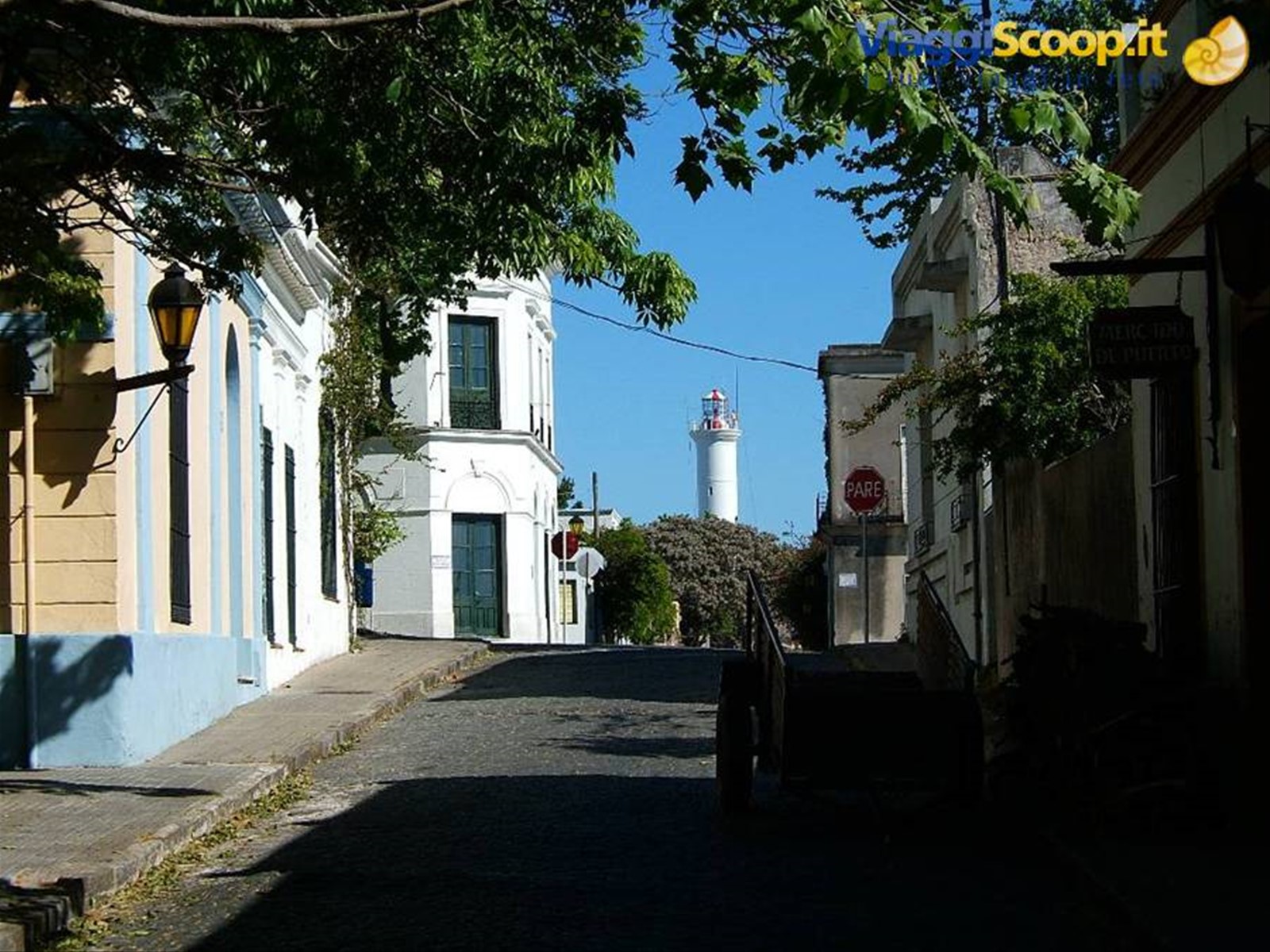 calle Leafy