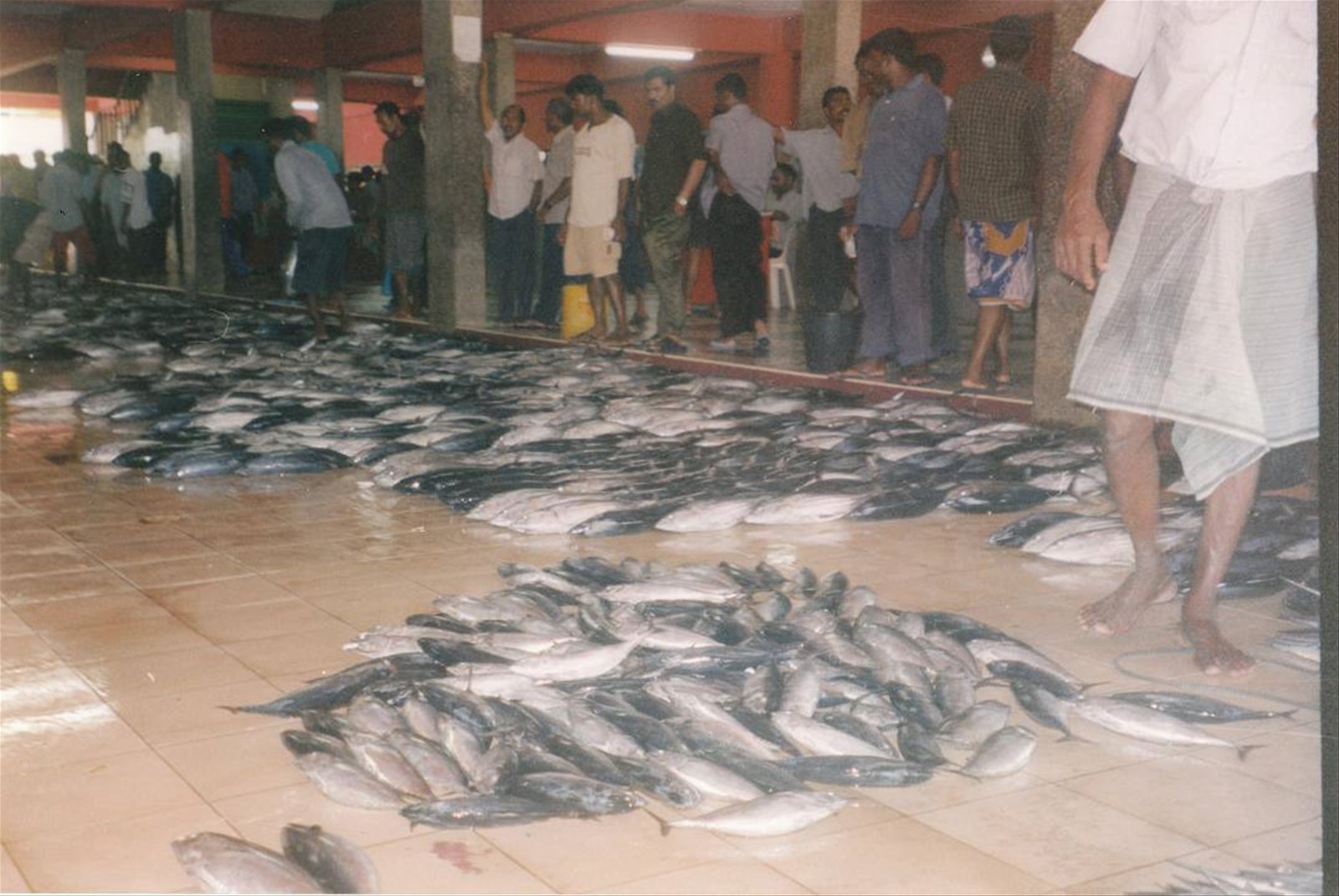 Foto di viaggio in MALDIVE