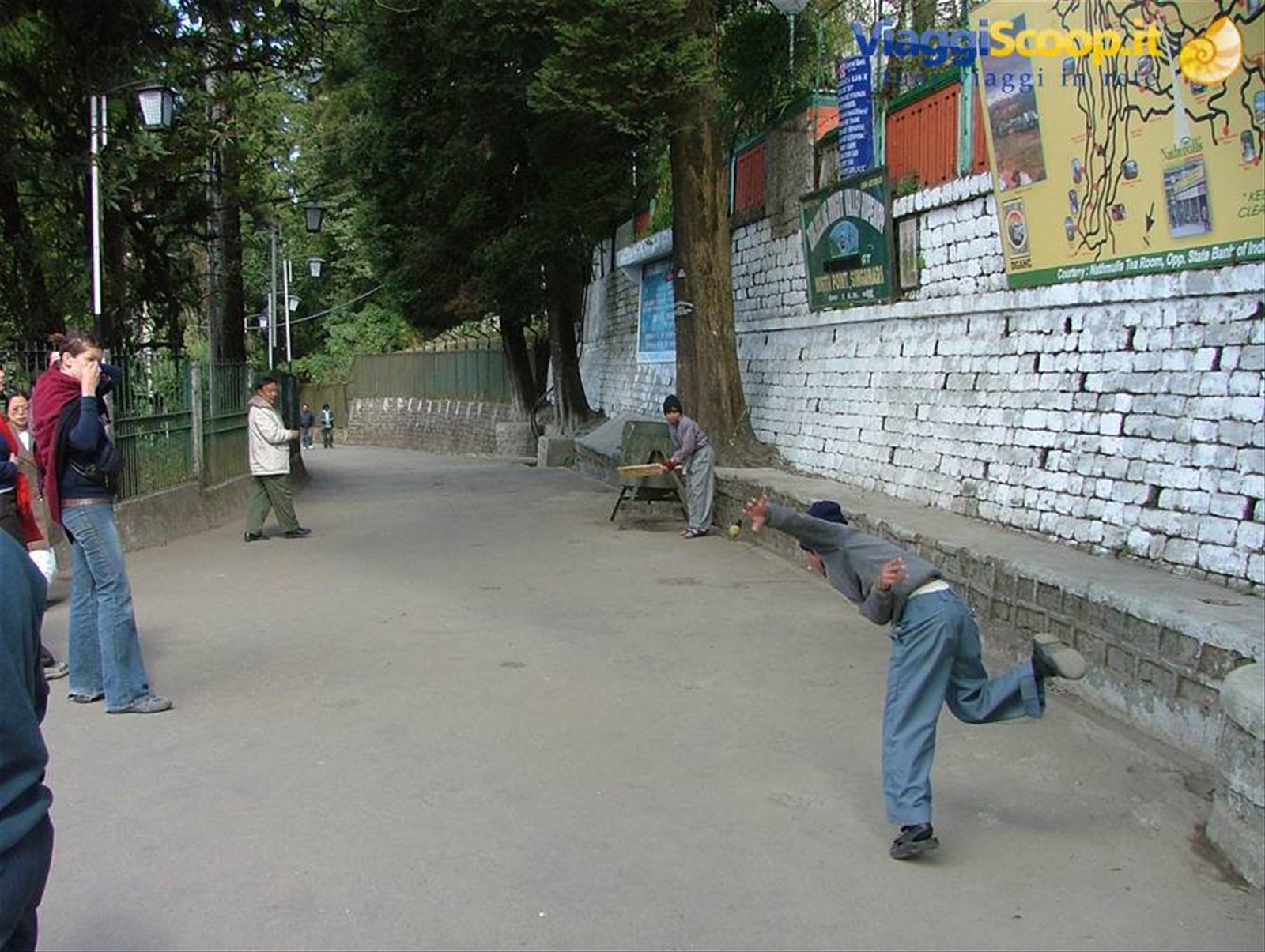 giocatori di cricket in erba