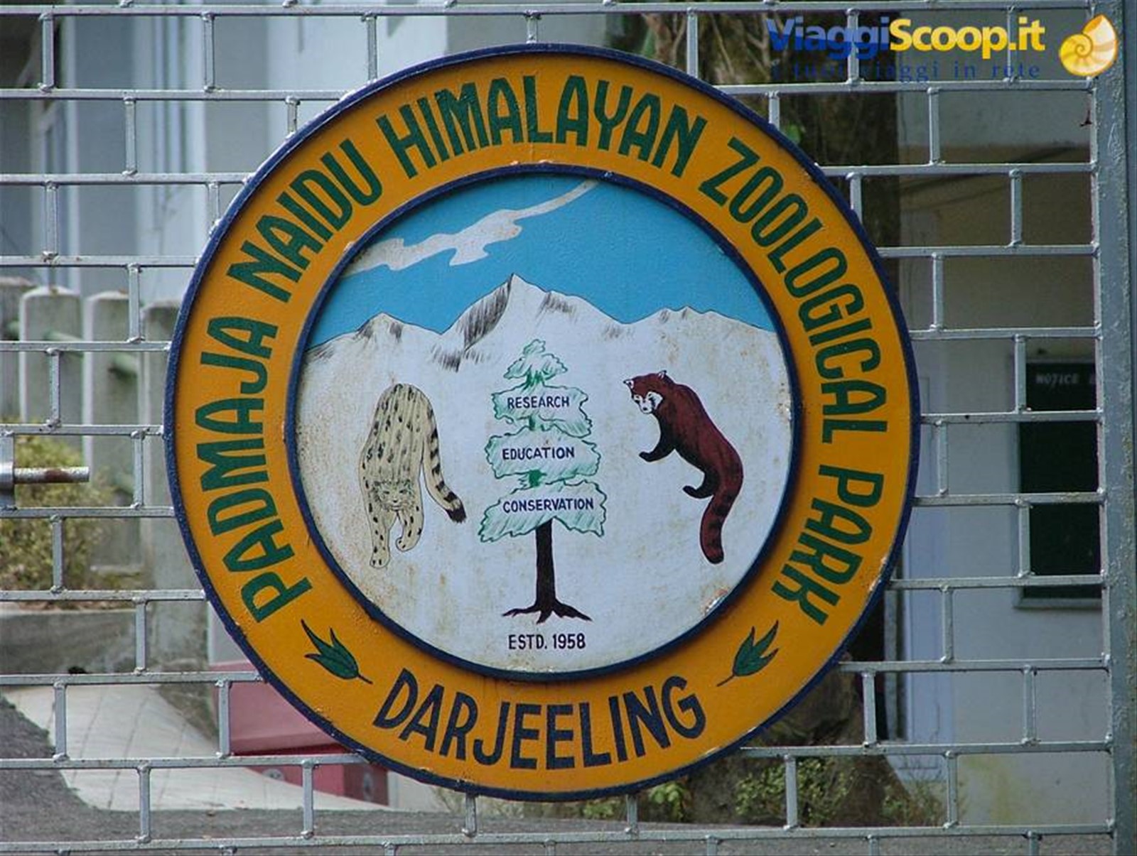 lo zoo di Darjelling