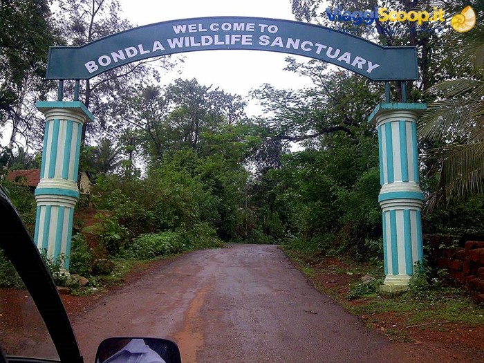 Goa, Bondla wildlife sanctuary
