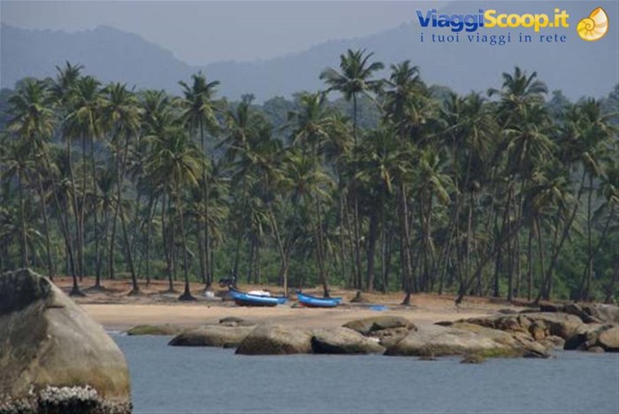 Agonda beach