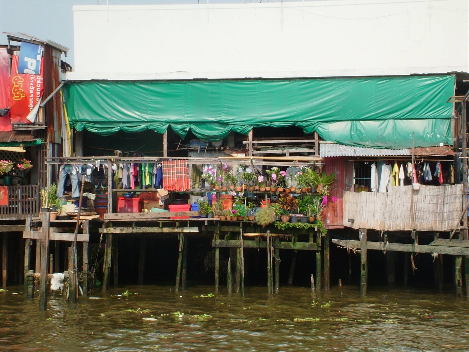 Foto di viaggio in TAILANDIA