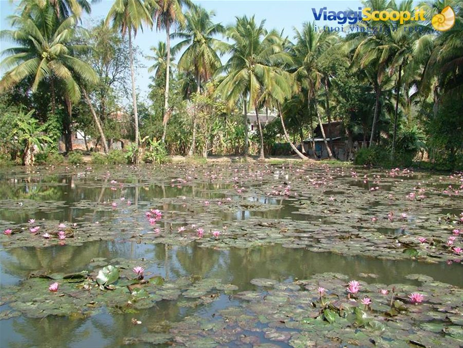 Foto di viaggio in LAOS