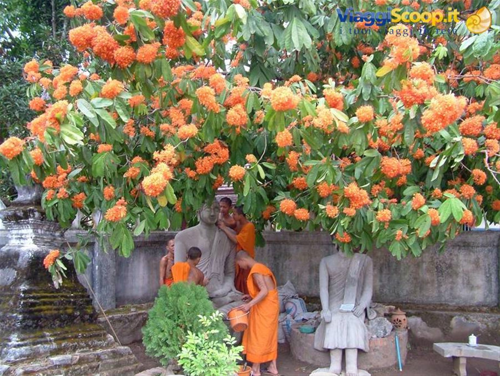 monaci buddisti