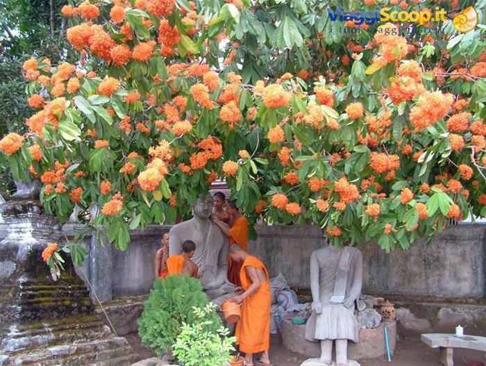 monaci buddisti