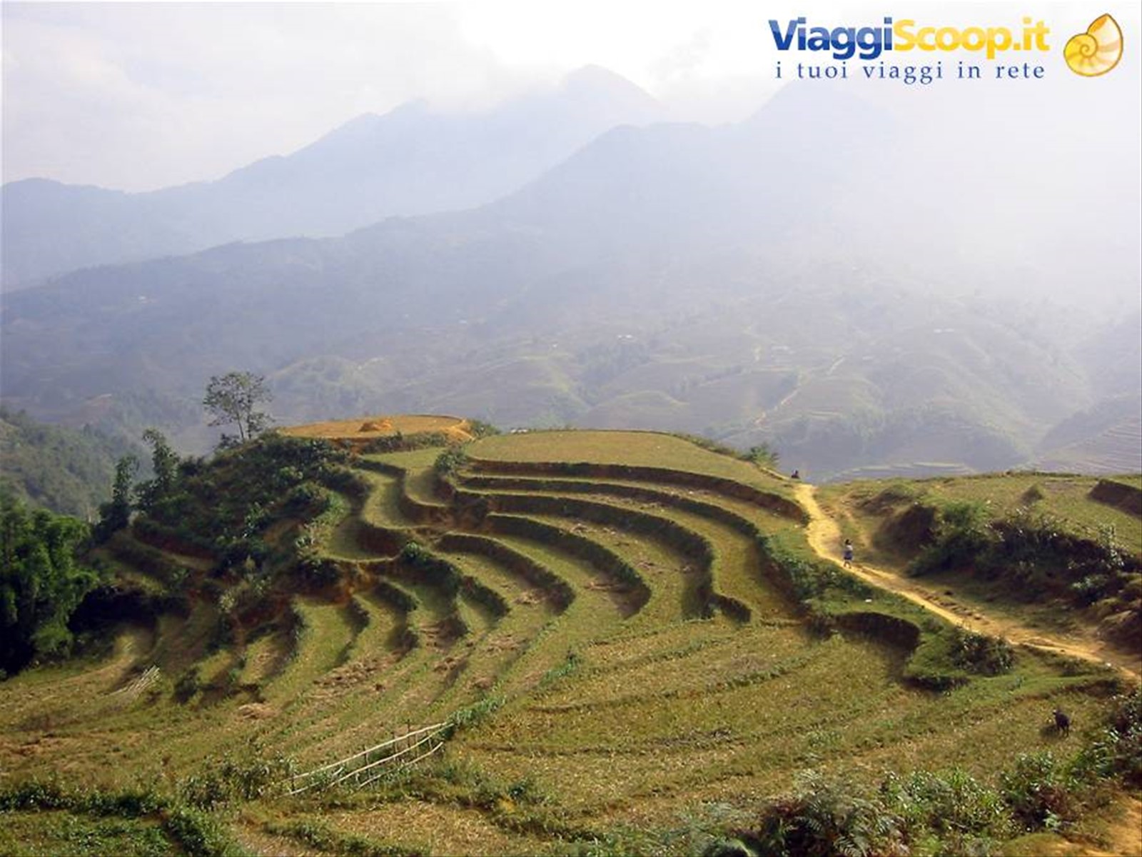 Vietnam, le risaie di Sapa