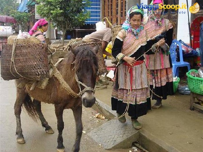Bacha market