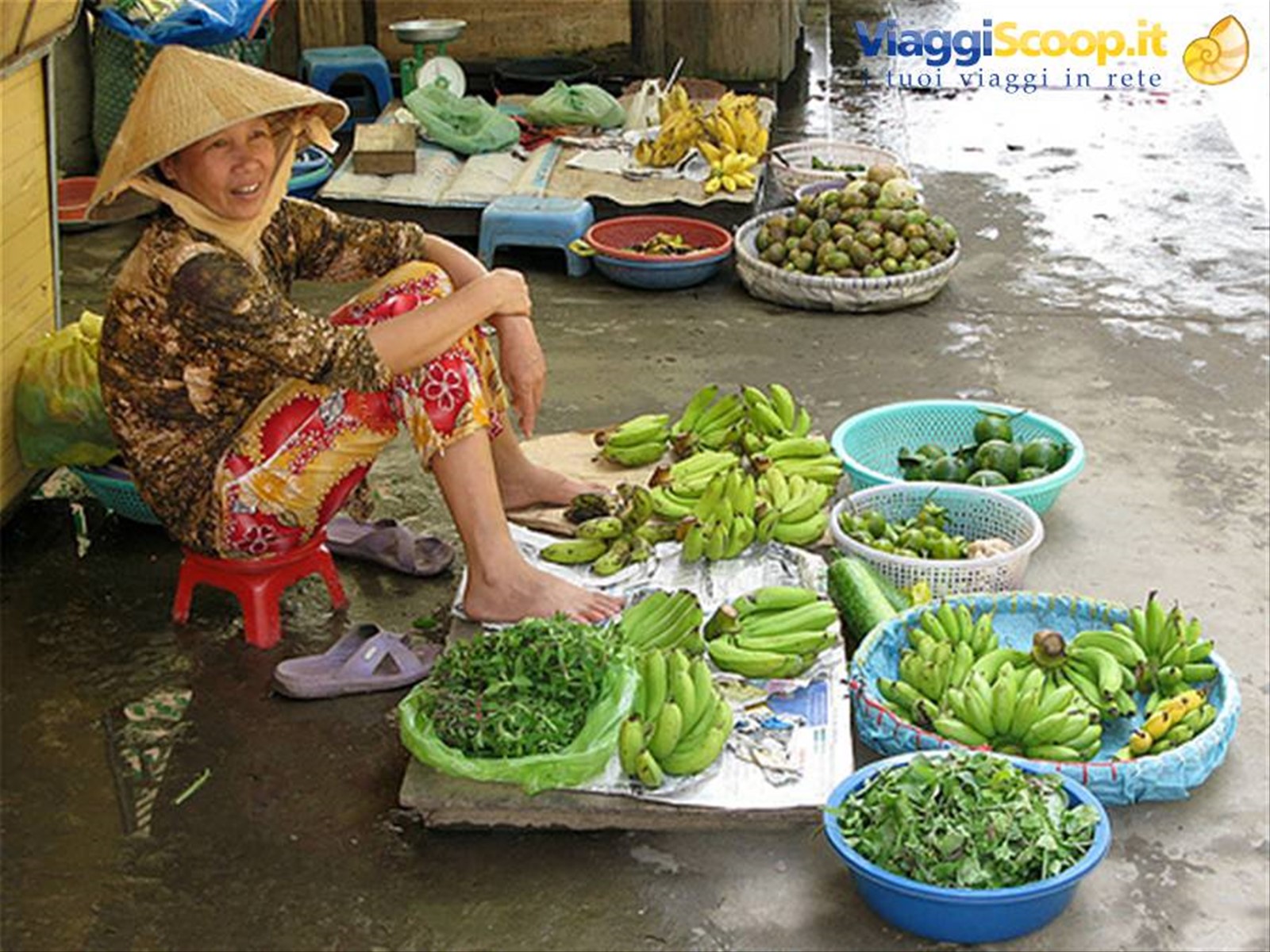 Hanoi, venditrice di strada