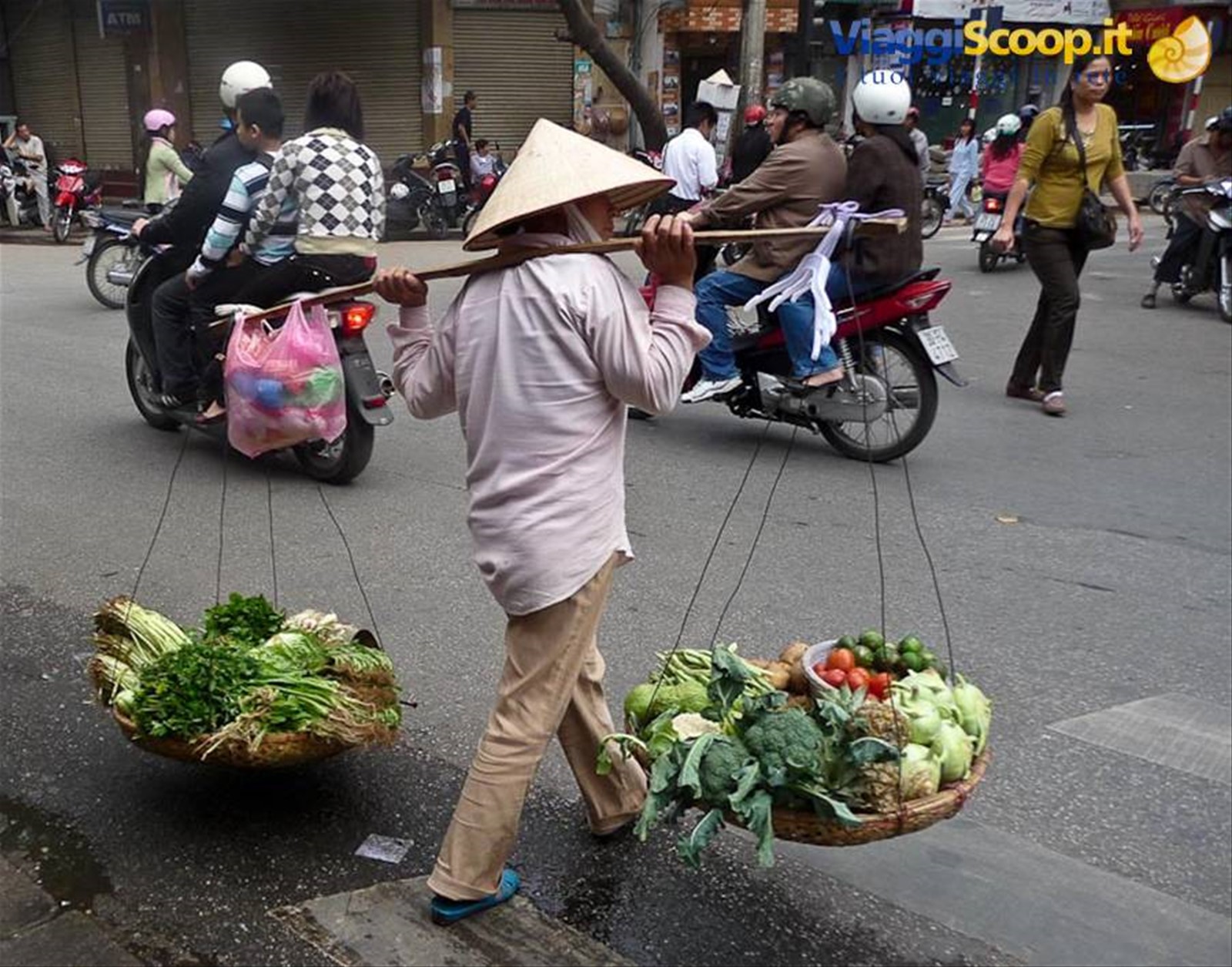 Foto di viaggio in VIETNAM