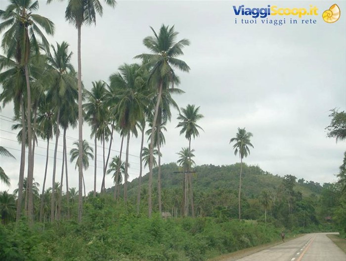 Palawan, strada per El Nido