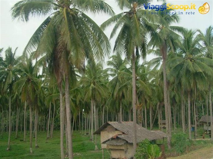 Palawan, villaggio