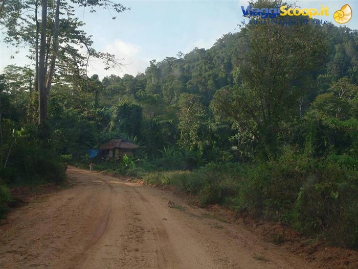 strada per El Nido, finisce l'asfalto