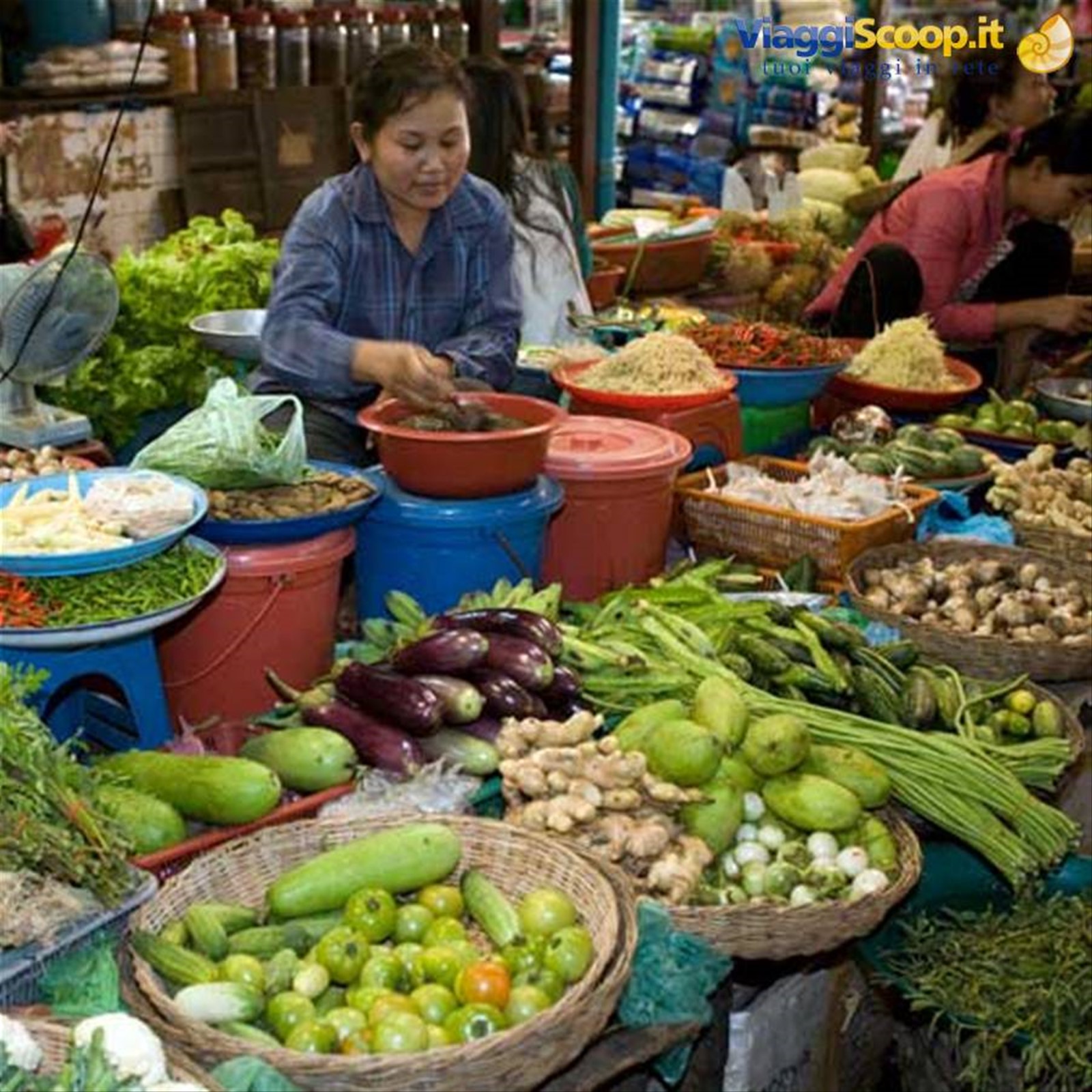 Foto di viaggio in CAMBOGIA