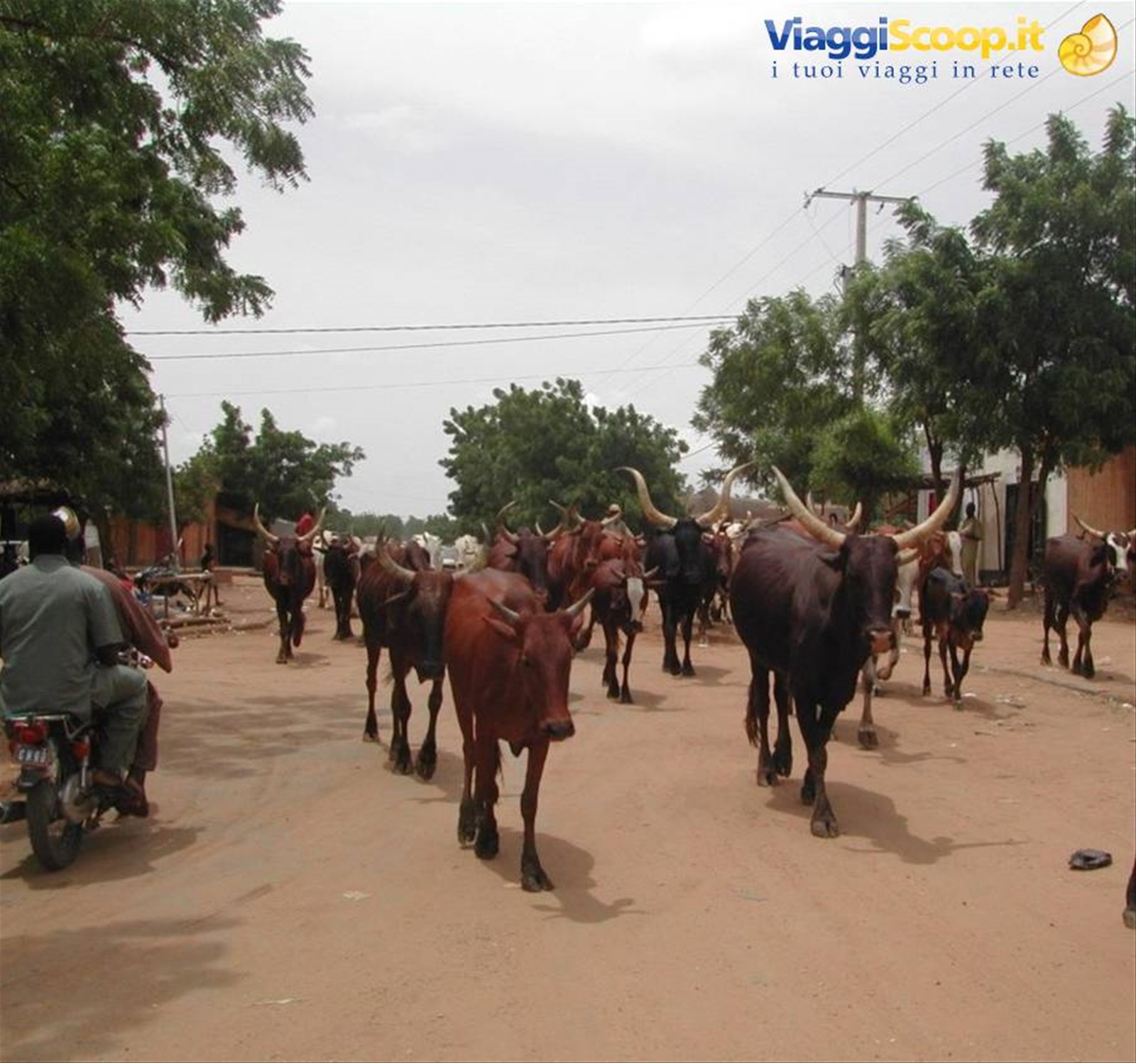 per le strade di Niamey