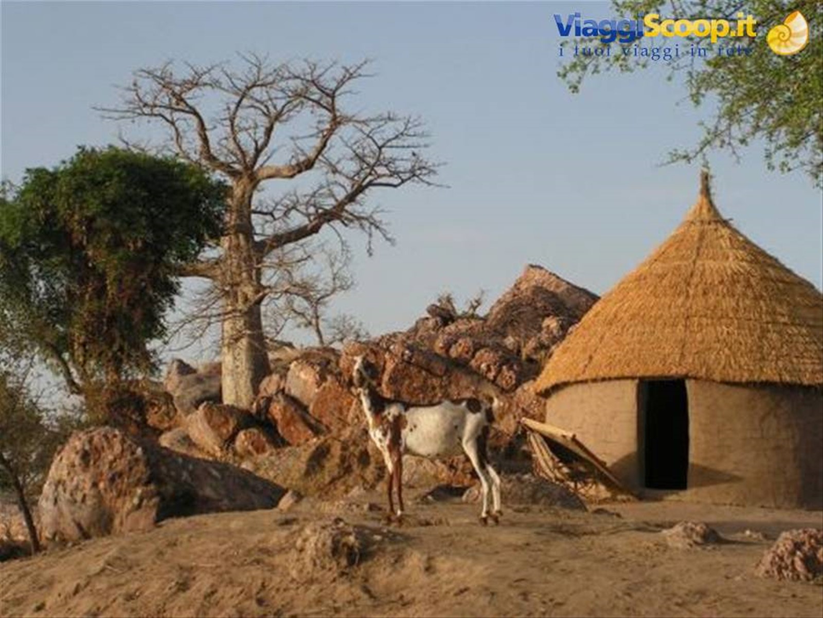 Foto di viaggio in NIGER