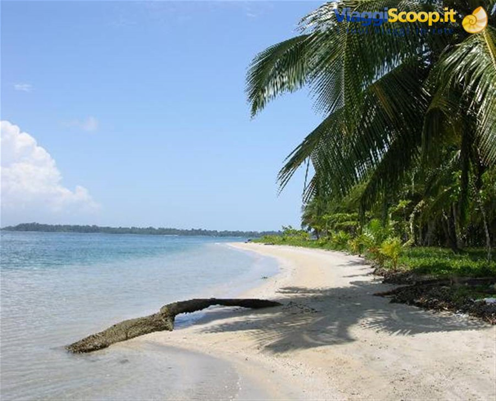 Bocas, playa de las estrellas