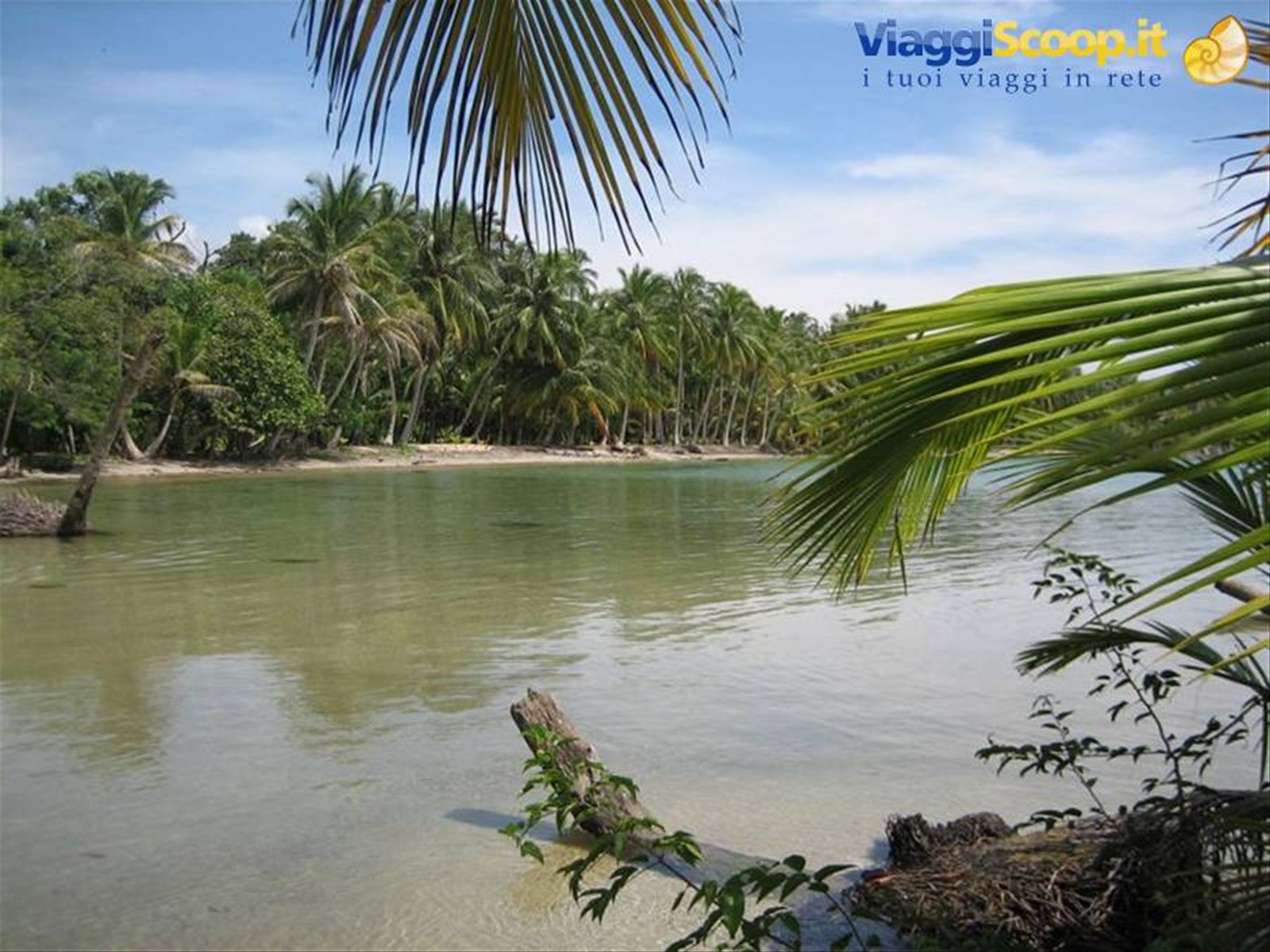 Bocas, playa del drago
