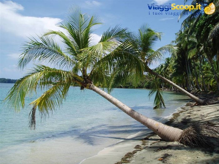Bocas