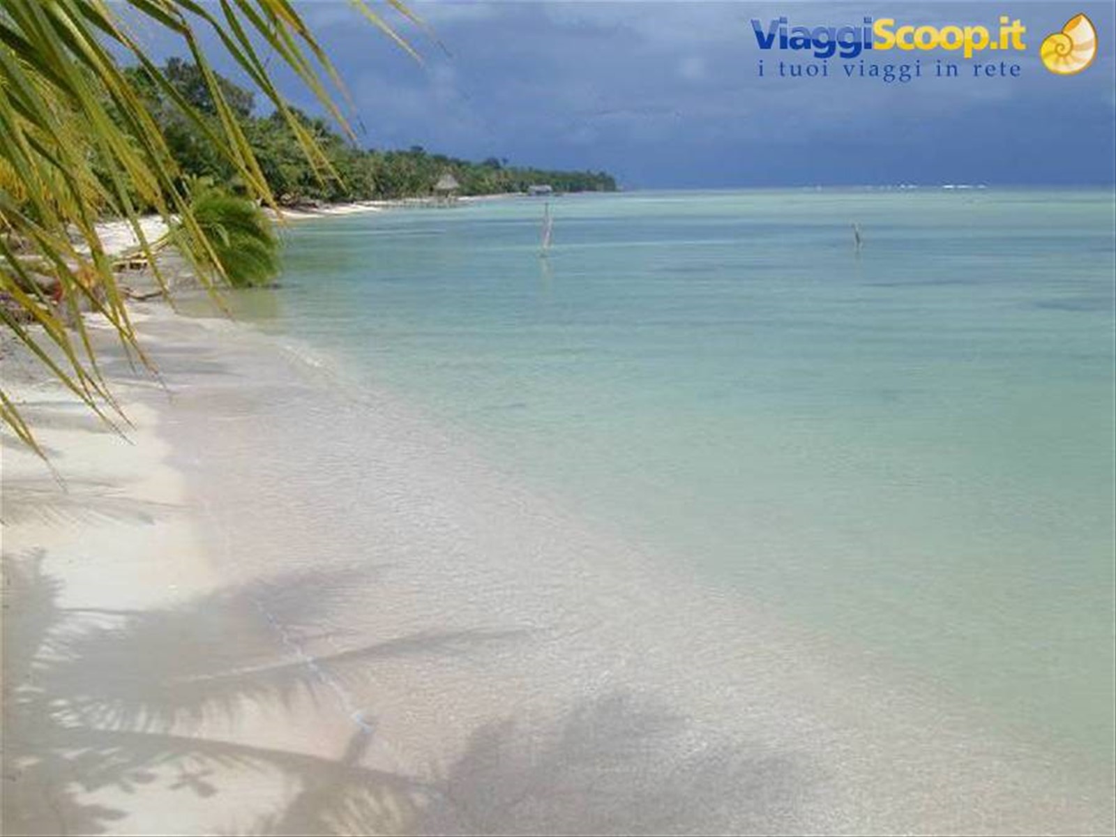 Foto di viaggio in PANAMA