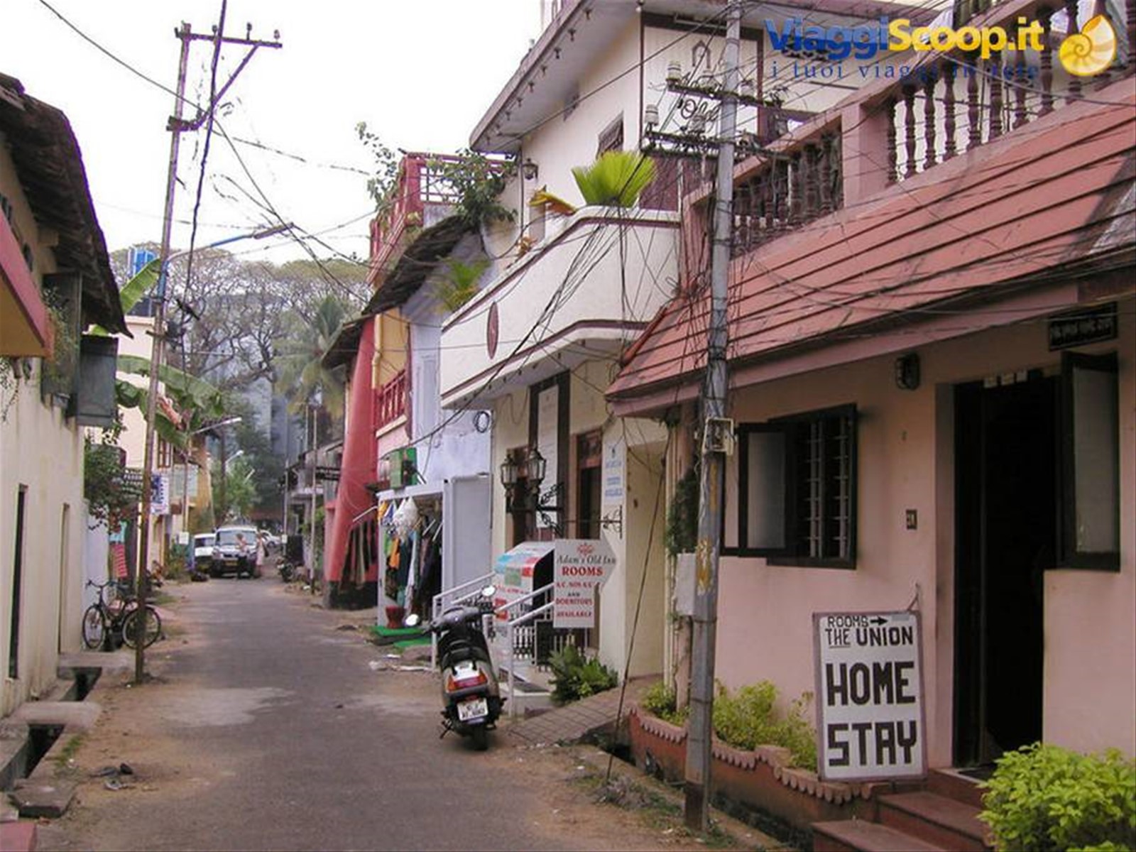 Foto di viaggio in INDIA
