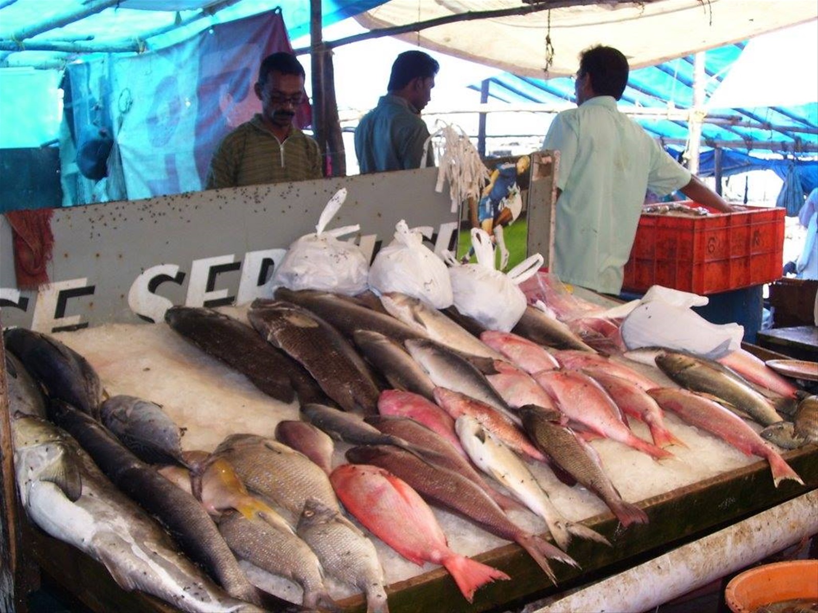 mercato del pesce