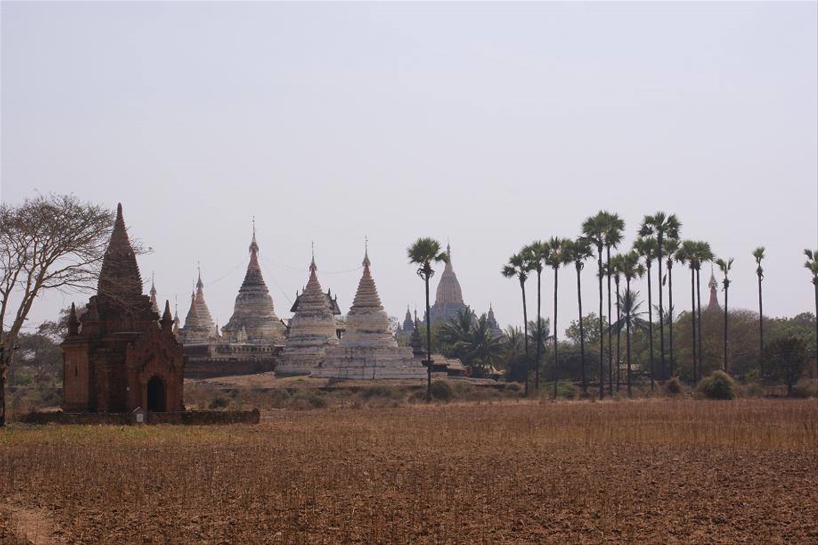 Bagan