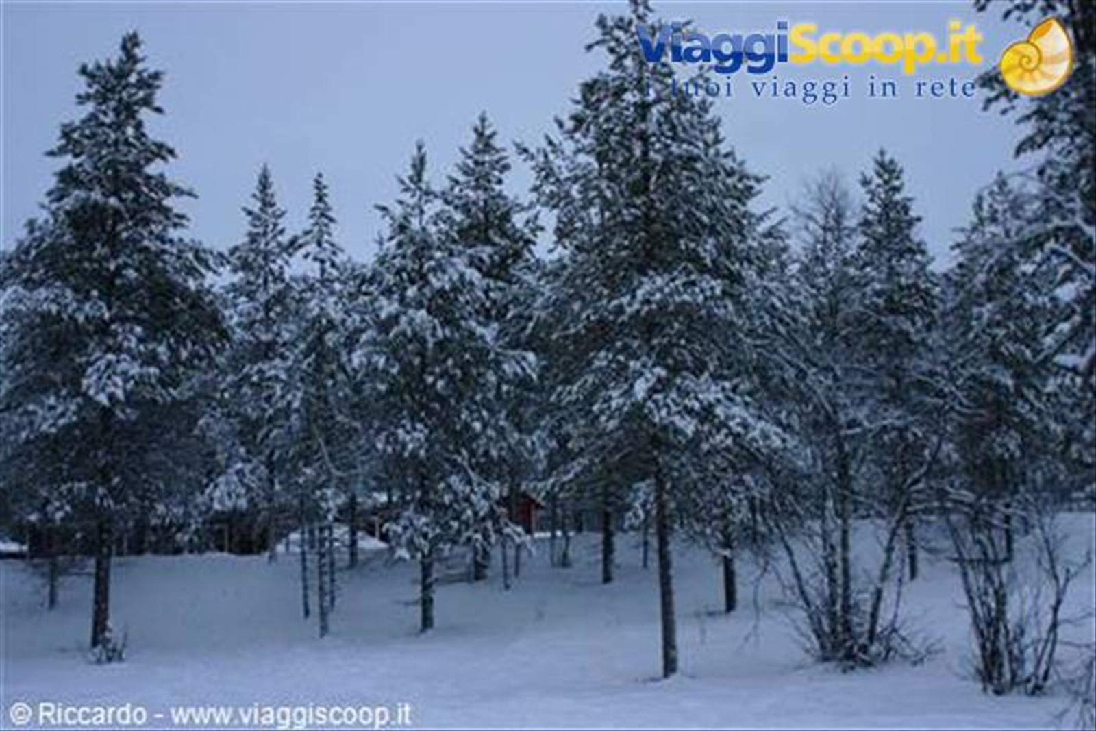 Saariselka - Villaggio di Kakslauttanen