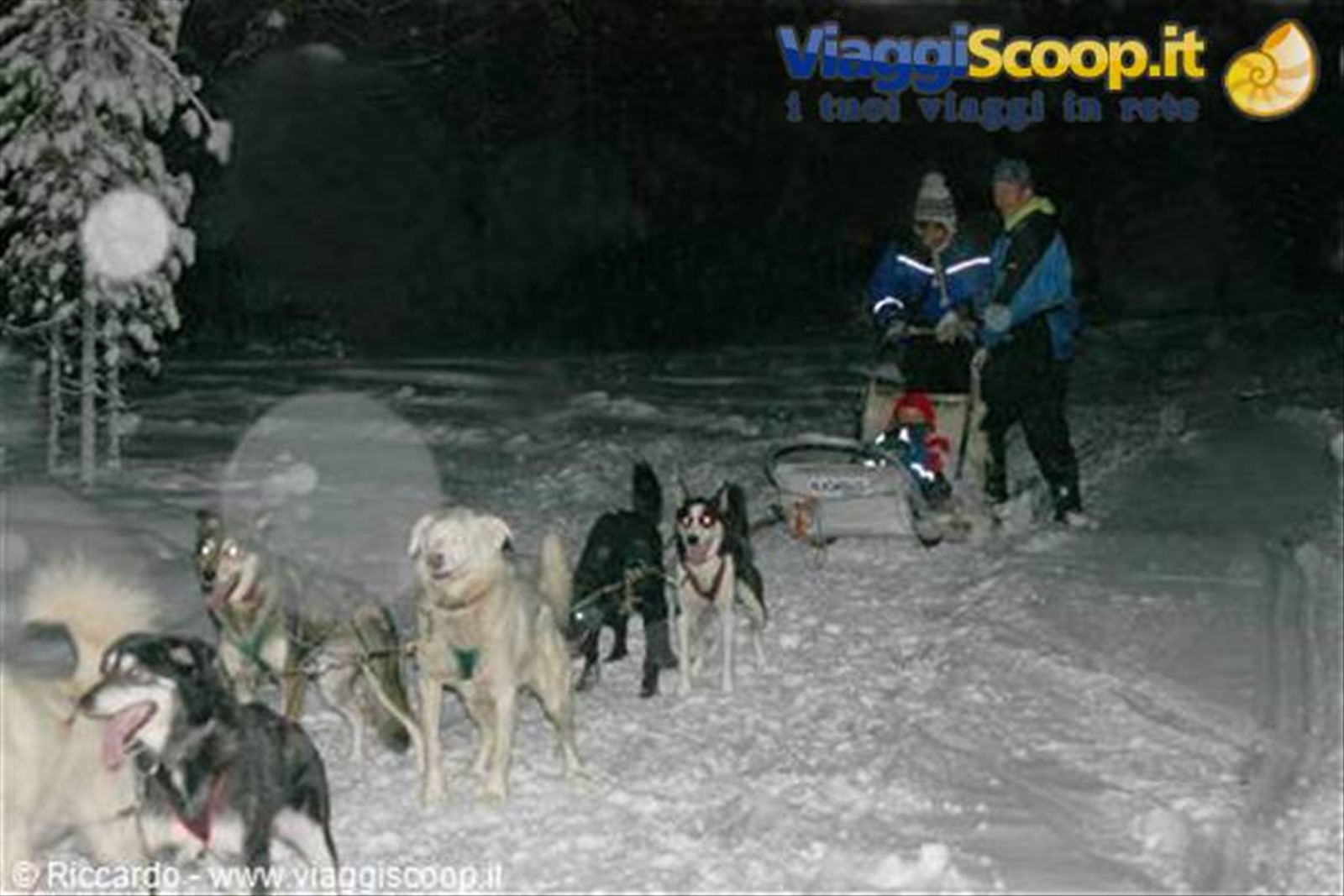 Saariselka - Slitta trainata da husky