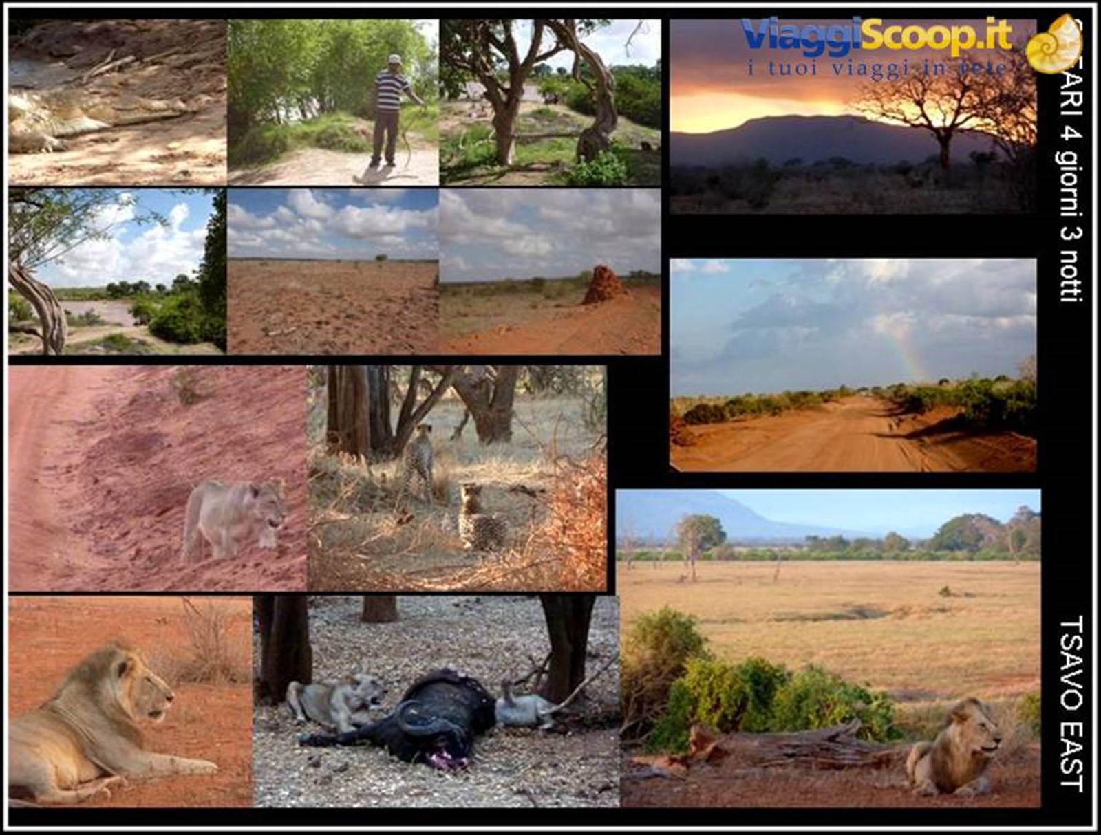 TSAVO EAST con THOMAS MBOYA e RAFIKI SAFARIS UK