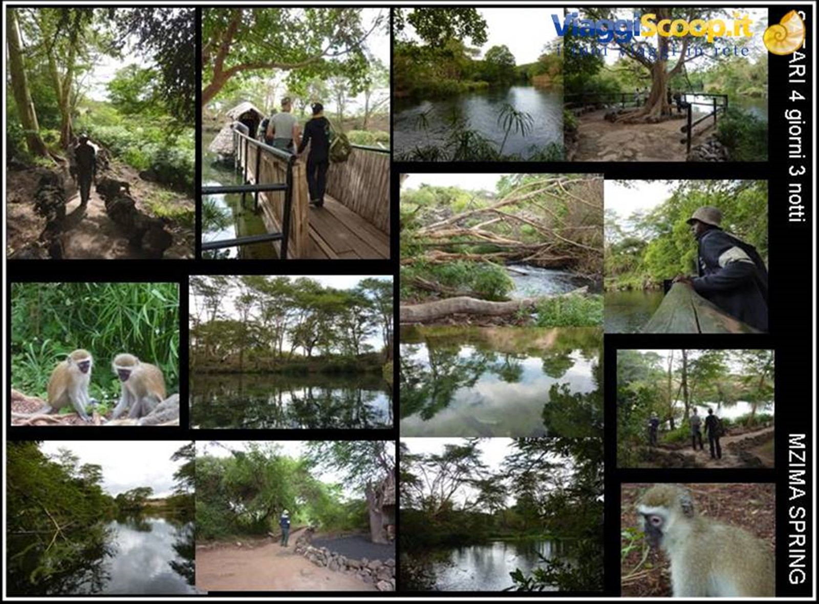 MZIMA SPRING con THOMAS MBOYA e AGENZIA RAFIKI SAFARIS UK a WATAMU