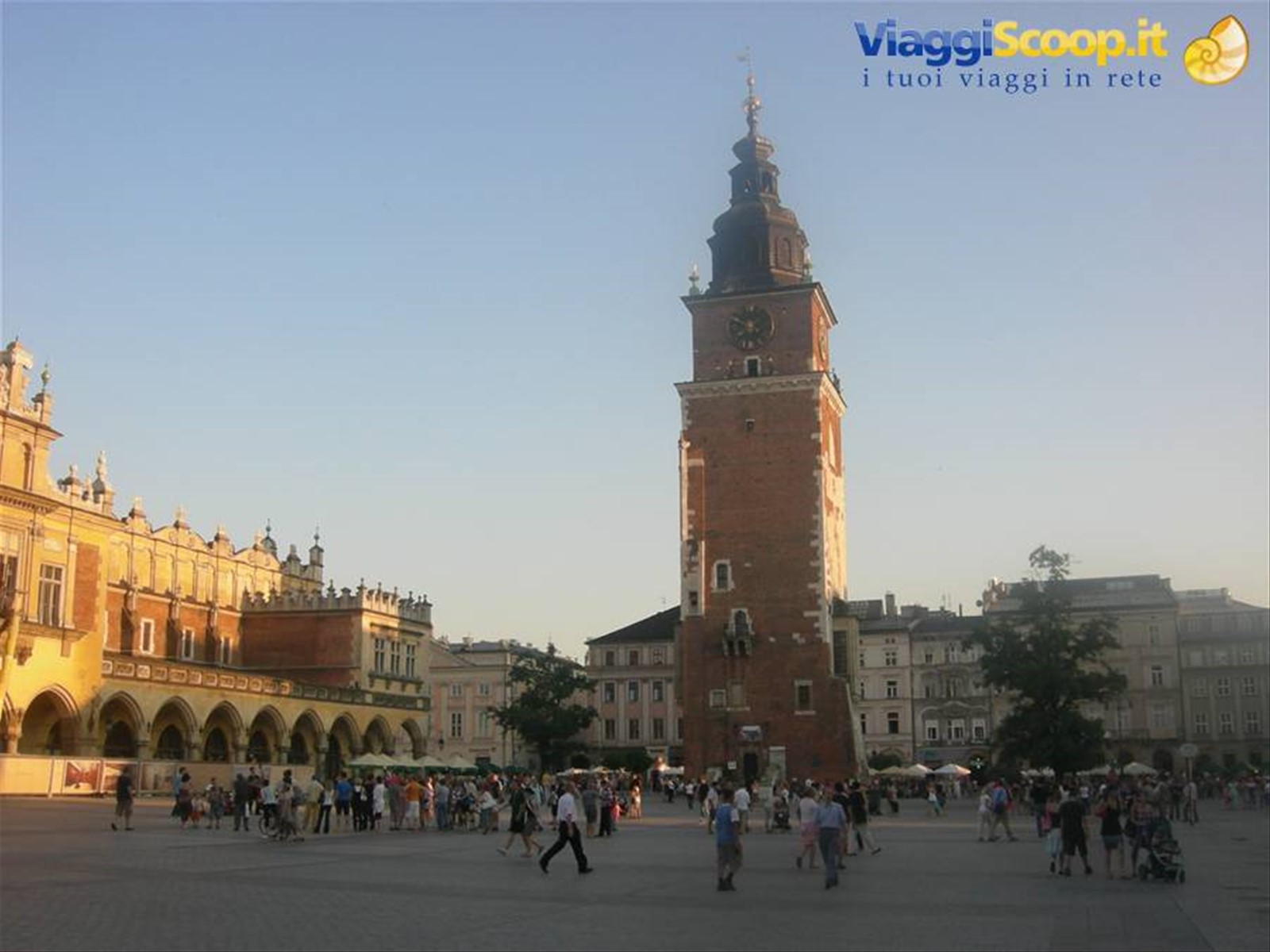 Rynek Glowny, la piazza centrale medievale