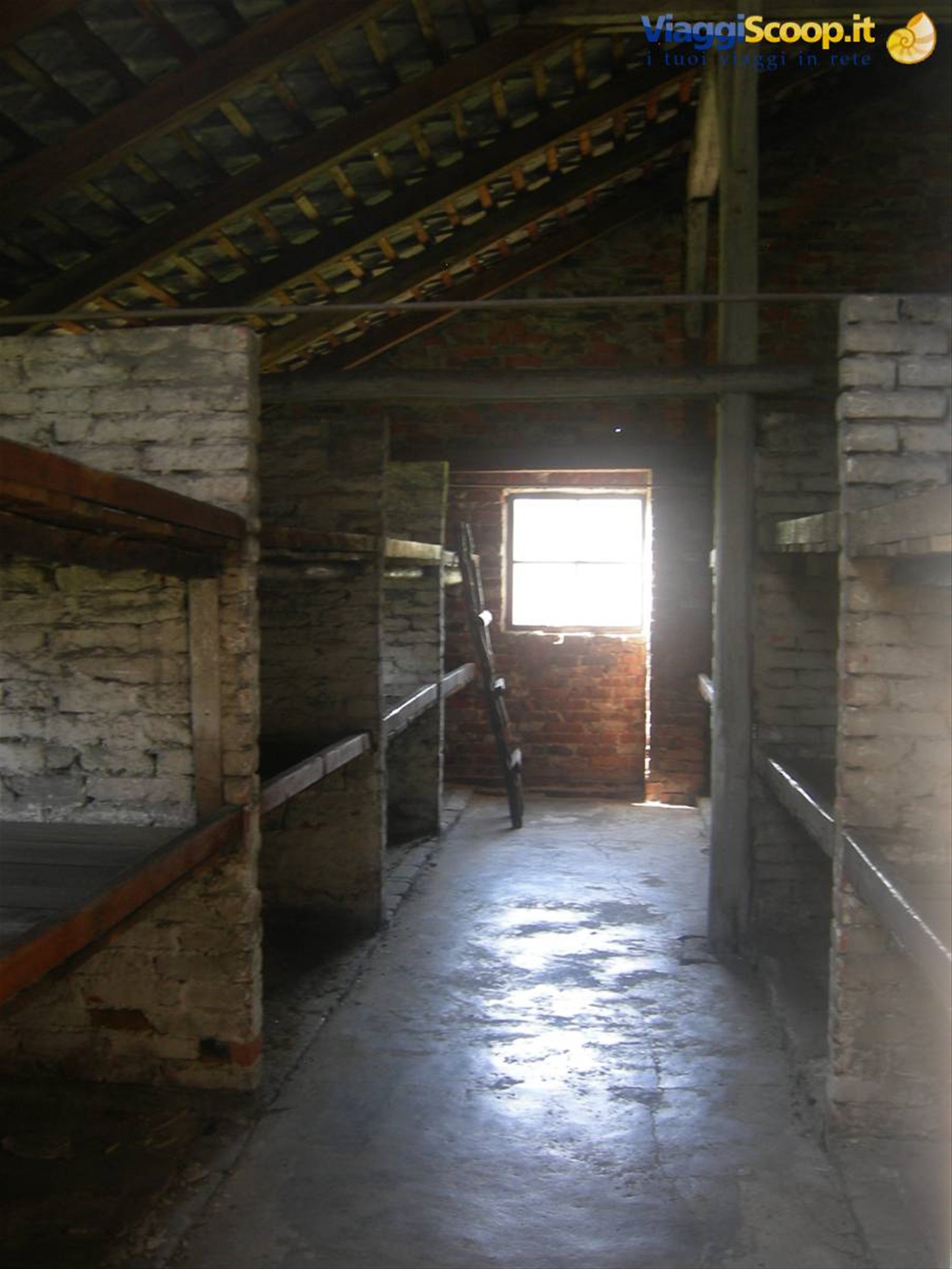 Birkenau