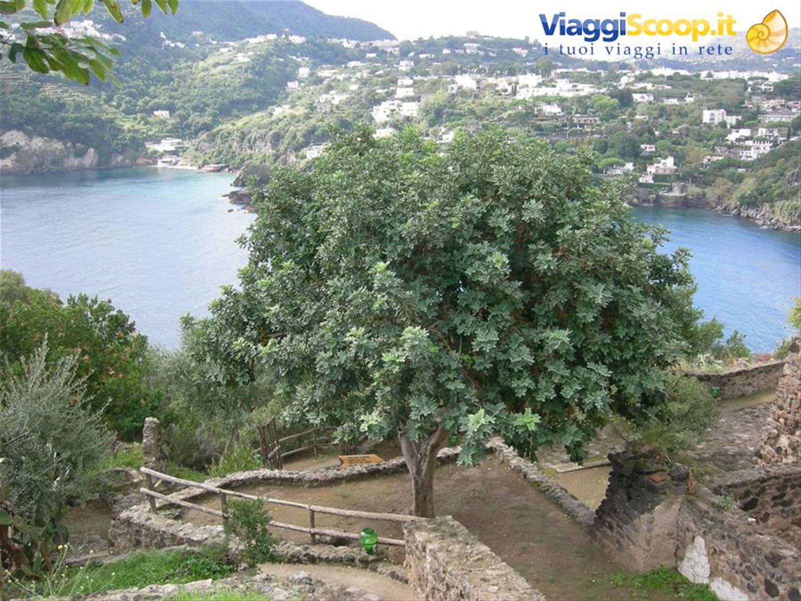 Foto di viaggio in ITALIA