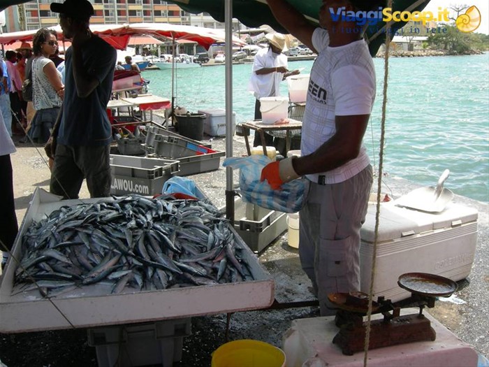 il mercato del pesce