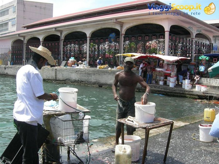 il mercato del pesce